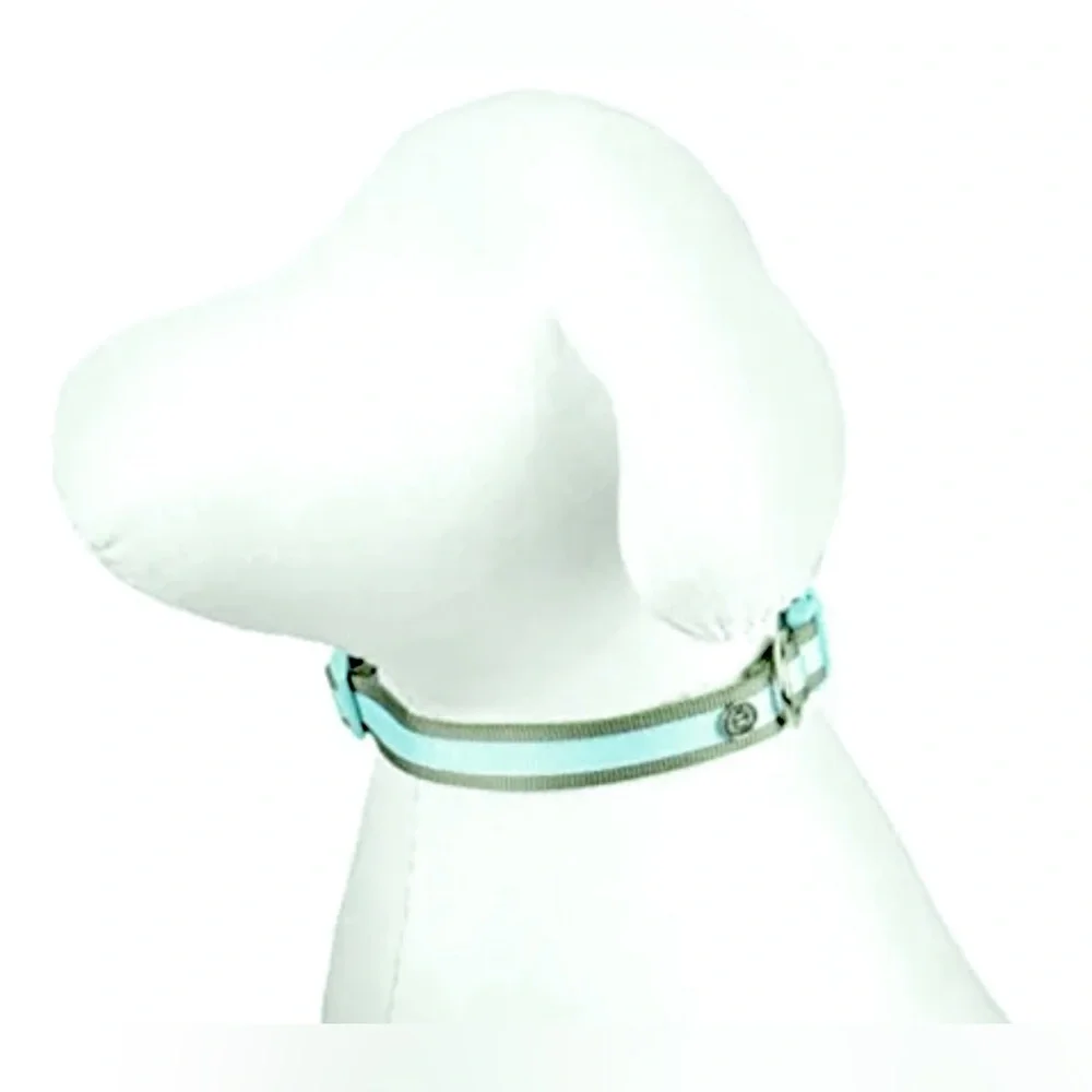 NWT [Martha Stewart] Adjustable Nylon Dog Collar in Bowtie Mint, Multiple Sizes!